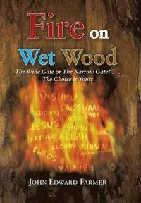bokomslag Fire on Wet Wood