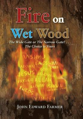 bokomslag Fire on Wet Wood