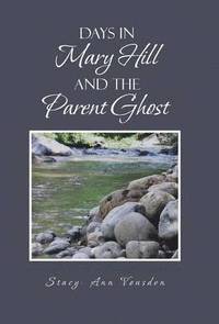 bokomslag Days in Mary Hill and the Parent Ghost