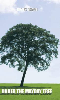 bokomslag Under the Mayday Tree