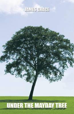 bokomslag Under the Mayday Tree