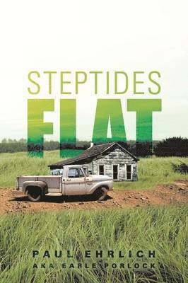 Steptides Flat 1