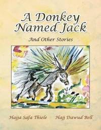 bokomslag Donkey Named Jack