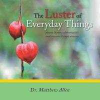bokomslag Luster of Everyday Things