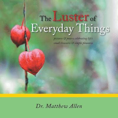 Matthew Allen, Dr Matthew Allen - Luster of Everyday Things, Häftad