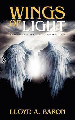 Wings of Light 1