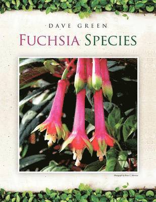 bokomslag Fuchsia Species