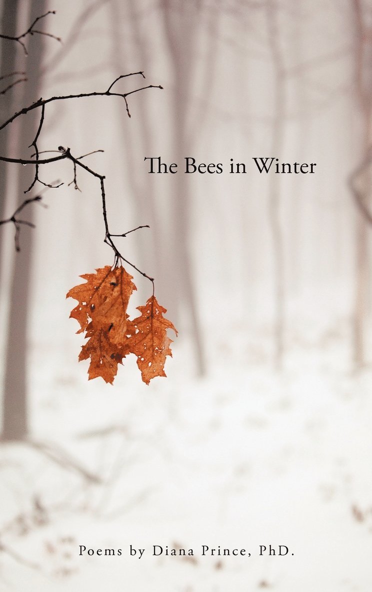 The Bees in Winter 1