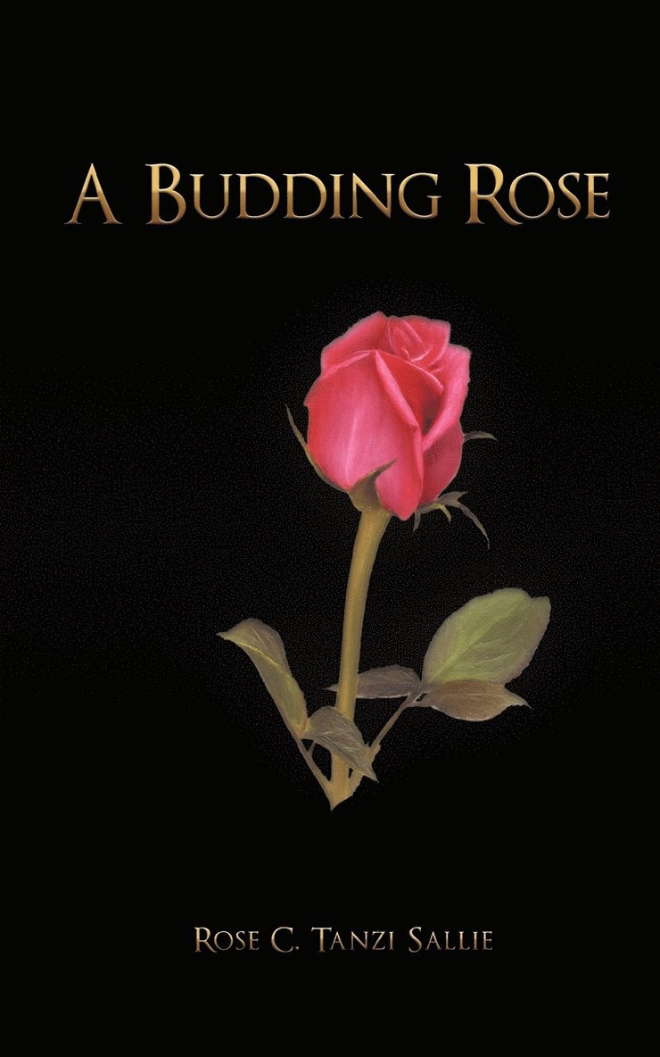 A Budding Rose 1