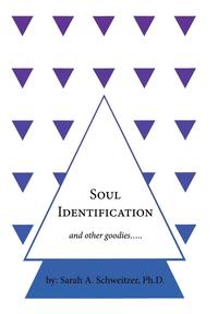 bokomslag Soul Identification and Other Goodies...