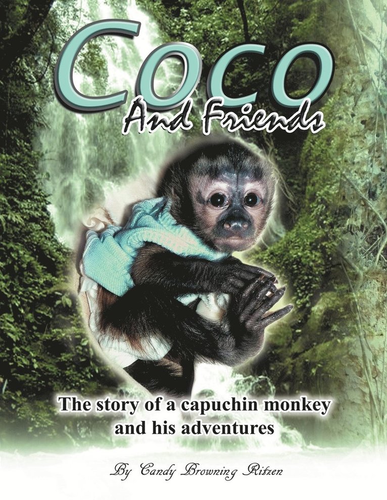 COCO And Friends 1