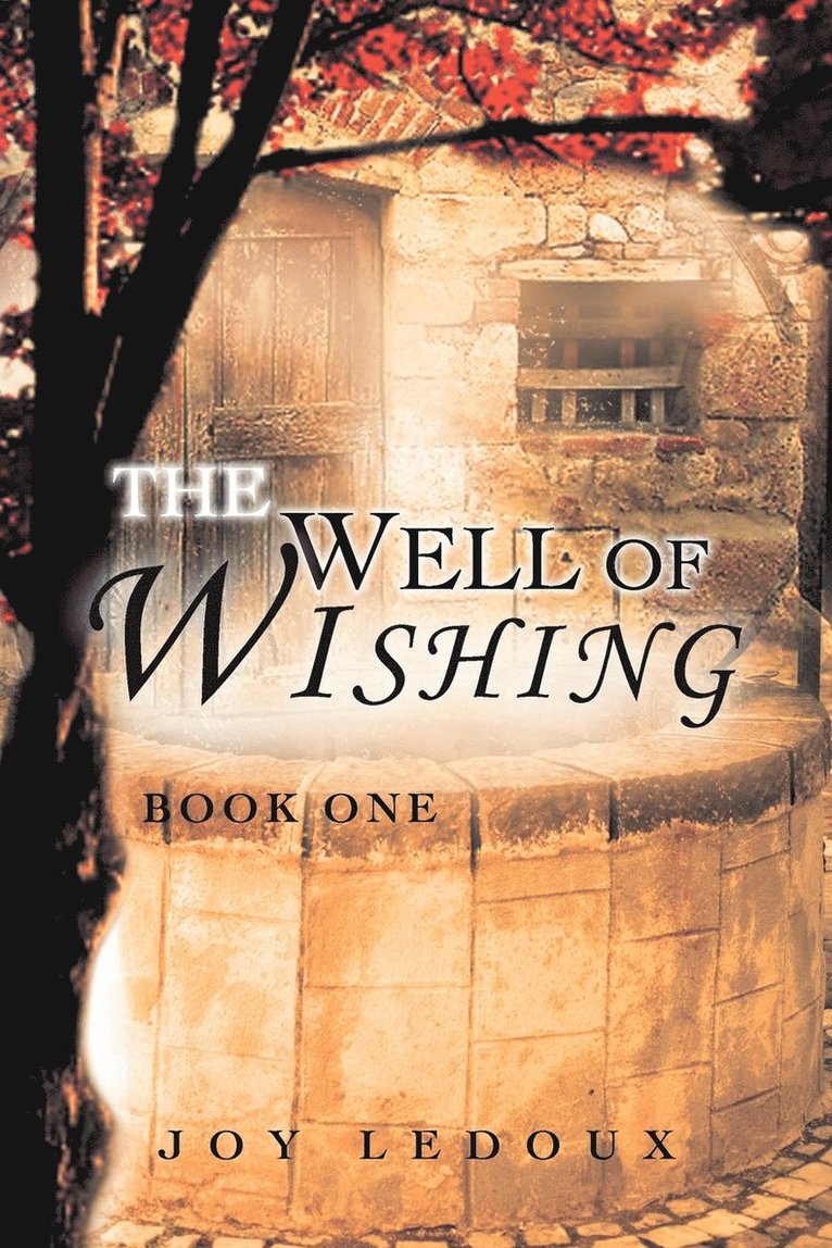 The Well of Wishing 1