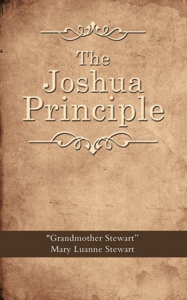 bokomslag Joshua Principle