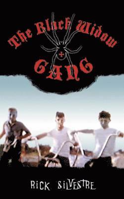 Black Widow Gang 1