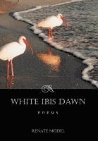 White Ibis Dawn 1