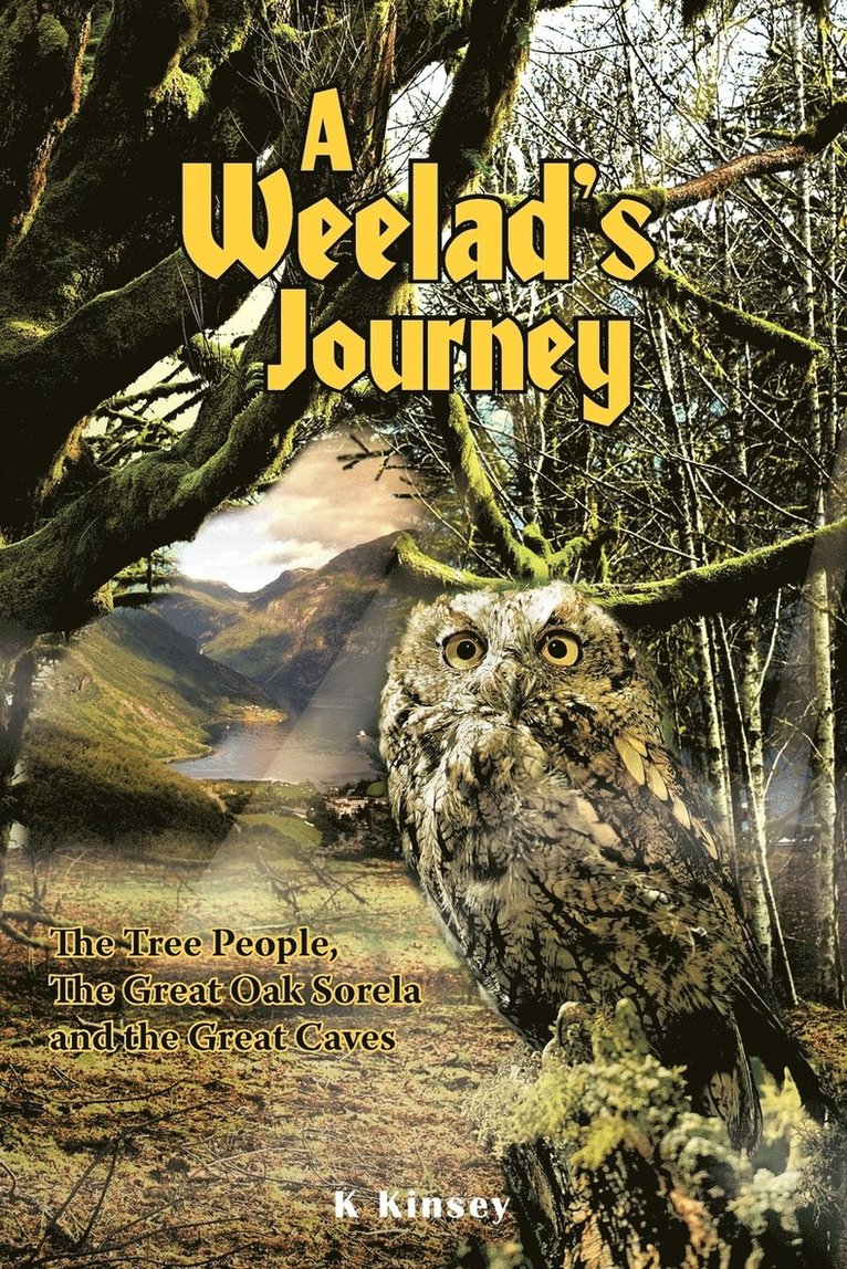 A Weelad's Journey 1