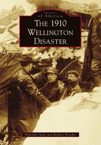 bokomslag The 1910 Wellington Disaster