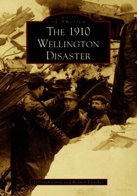 Deborah Cuyle, Rodney Fletcher - The 1910 Wellington Disaster, Häftad