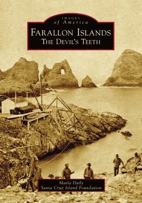 Farallon Islands: The Devil's Teeth 1