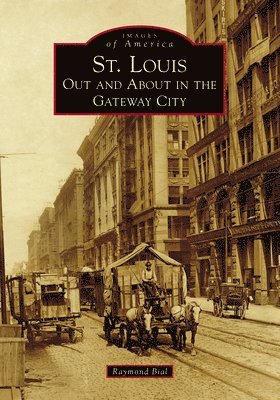 bokomslag St. Louis