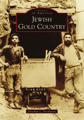 bokomslag Jewish Gold Country