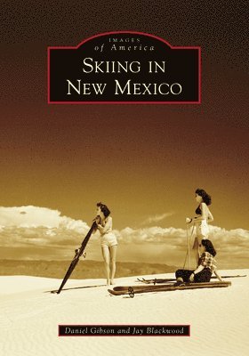 bokomslag Skiing in New Mexico