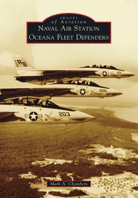Naval Air Station Oceana Fleet Defenders 1