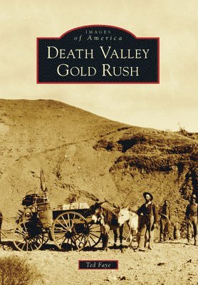 bokomslag Death Valley Gold Rush