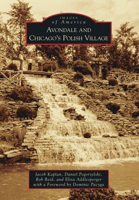 Robert W. Reid, Daniel Pogorzelski - Avondale and Chicago's Polish Village, Häftad