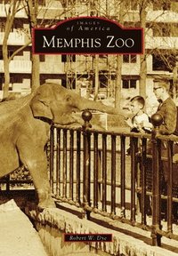 bokomslag Memphis Zoo