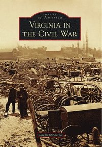 bokomslag Virginia in the Civil War