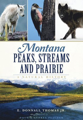 bokomslag Montana Peaks, Streams and Prairie: