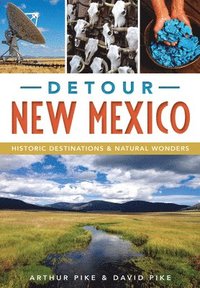 bokomslag Detour New Mexico: Historic Destinations & Natural Wonders