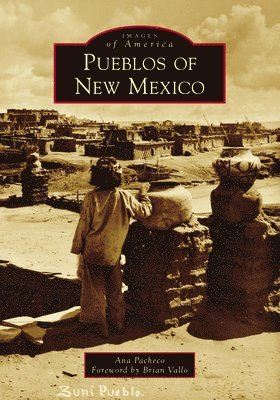 bokomslag Pueblos of New Mexico