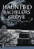 bokomslag Haunted Bachelors Grove