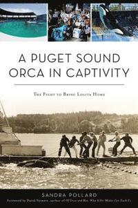 bokomslag A Puget Sound Orca in Captivity