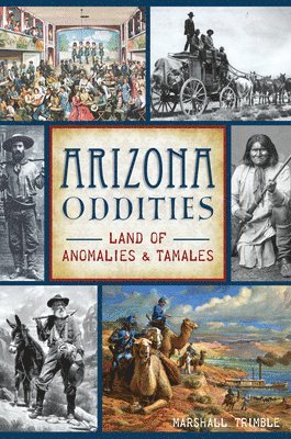 Marshall Trimble - Arizona Oddities: Land of Anomalies & Tamales, Häftad