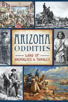 Arizona Oddities: Land of Anomalies and Tamales 1