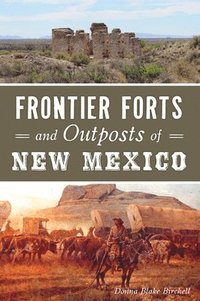 bokomslag Frontier Forts and Outposts of New Mexico