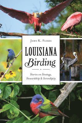 bokomslag Louisiana Birding: Stories on Strategy, Stewardship and Serendipity