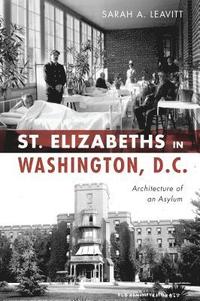 bokomslag St Elizabeths in Washington, D.C.: Architecture of an Asylum