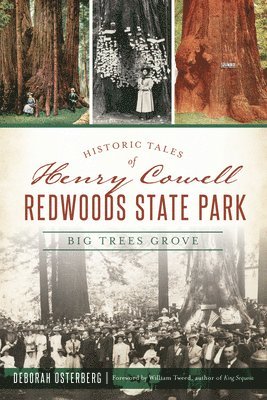 bokomslag Historic Tales of Henry Cowell Redwoods State Park