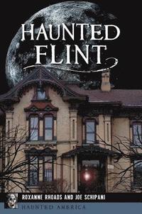 bokomslag Haunted Flint