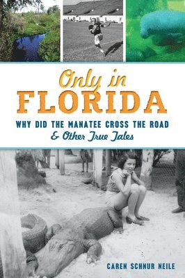 bokomslag Only in Florida: Why Did the Manatee Cross the Road & Other True Tales