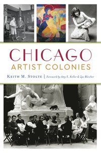 bokomslag Chicago Artist Colonies