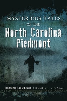 bokomslag Mysterious Tales of the North Carolina Piedmont