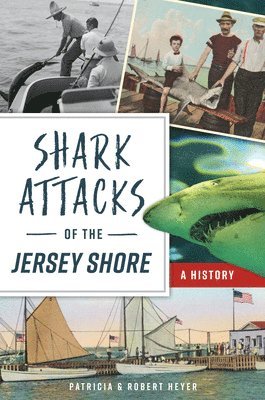 bokomslag Shark Attacks of the Jersey Shore: A History