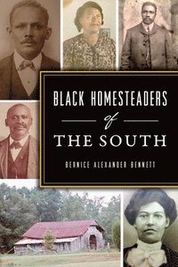 bokomslag Black Homesteaders of the South