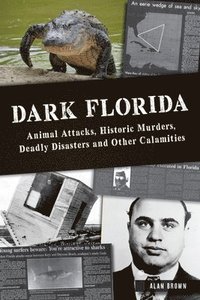 bokomslag Dark Florida: Animal Attacks, Historic Murders, Deadly Disasters and Other Calamities