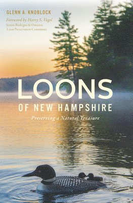 Loons of New Hampshire: Preserving a Natural Treasure 1